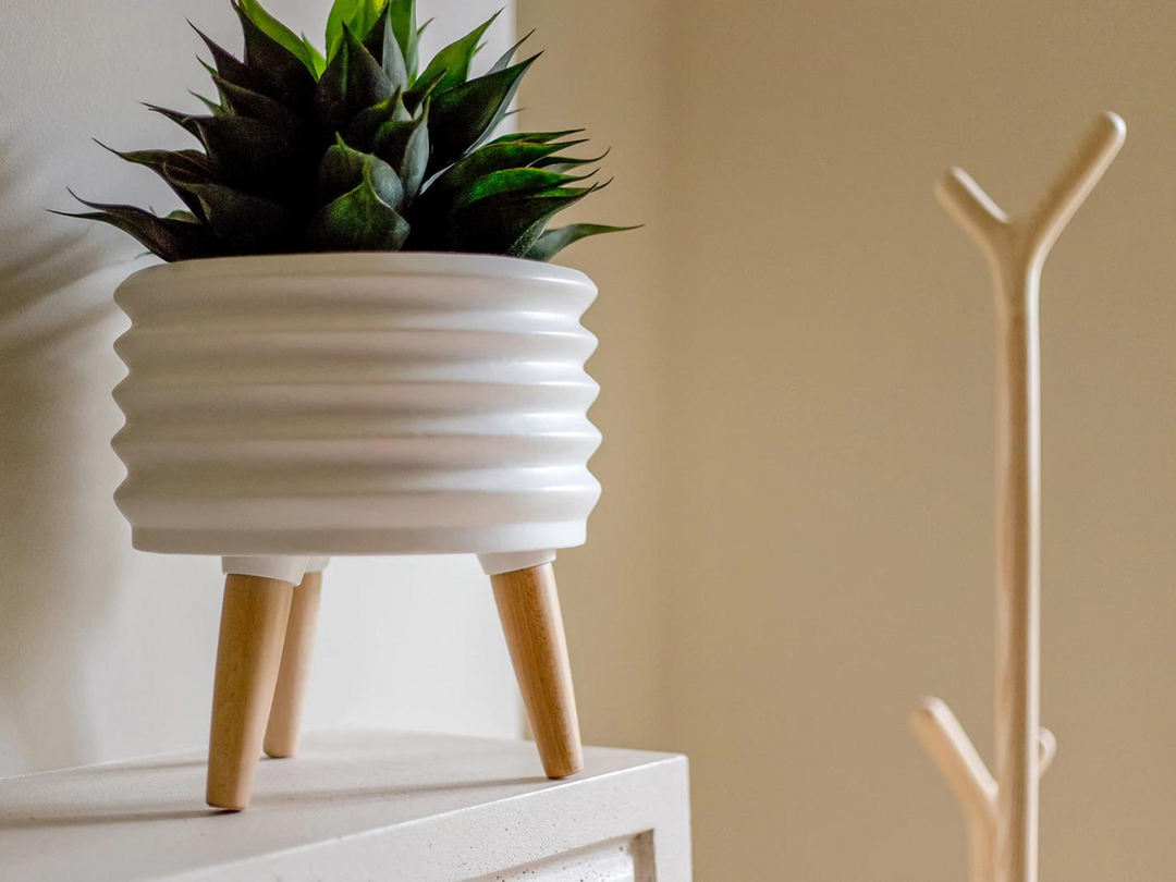 Decorating with Plants: The Guide