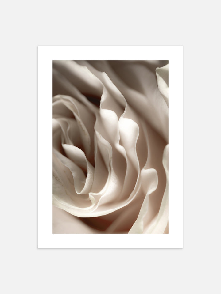 Beige Rose Poster | Art Print | Derrick Details