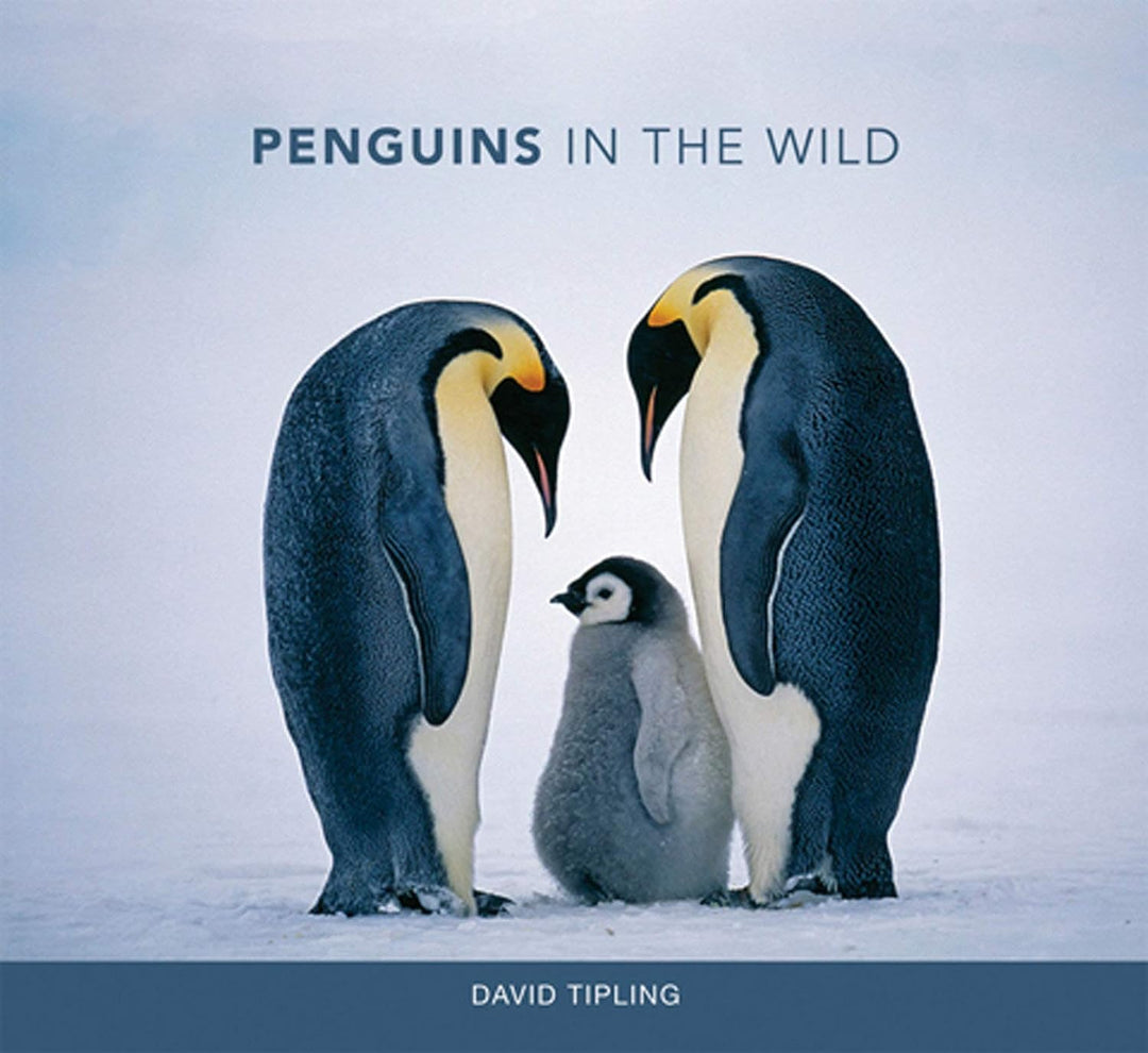 Penguins in the Wild Coffee Table Book
