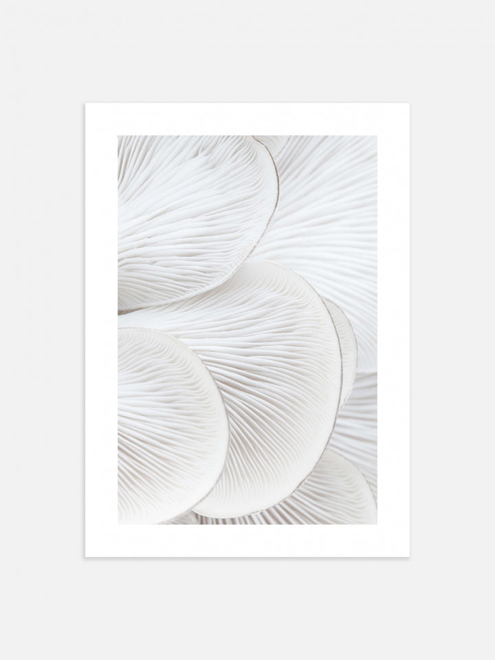 Oyster Close I Art Print | Wall Art | Derrick Details