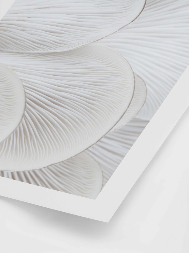 Oyster Close I Art Print | Wall Art | Derrick Details