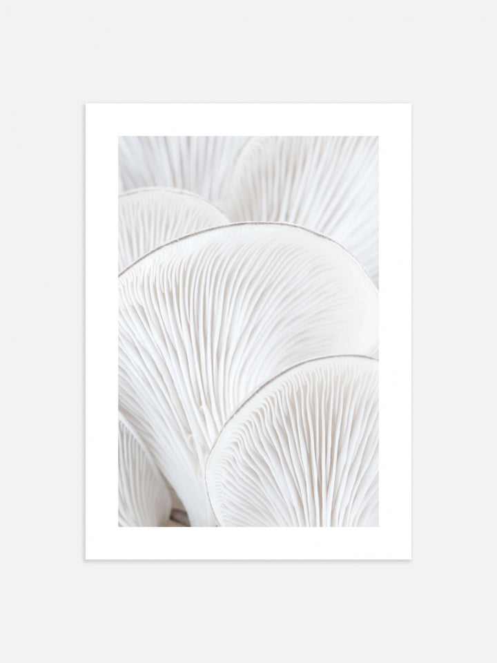 Oyster Close II Art Print | Wall Art | Derrick Details