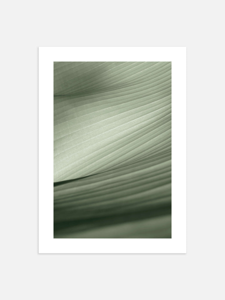 Banana Leaf Art Print | Art Print | Derrick Details