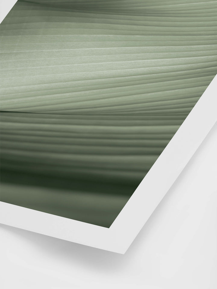 Banana Leaf Art Print | Art Print | Derrick Details