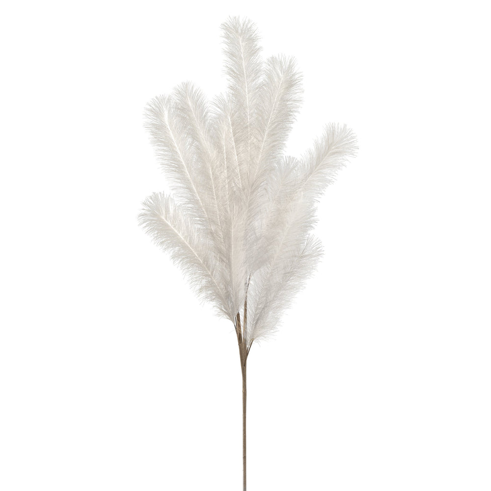 Desert Feather Pampas | Faux Plant | Derrick Details
