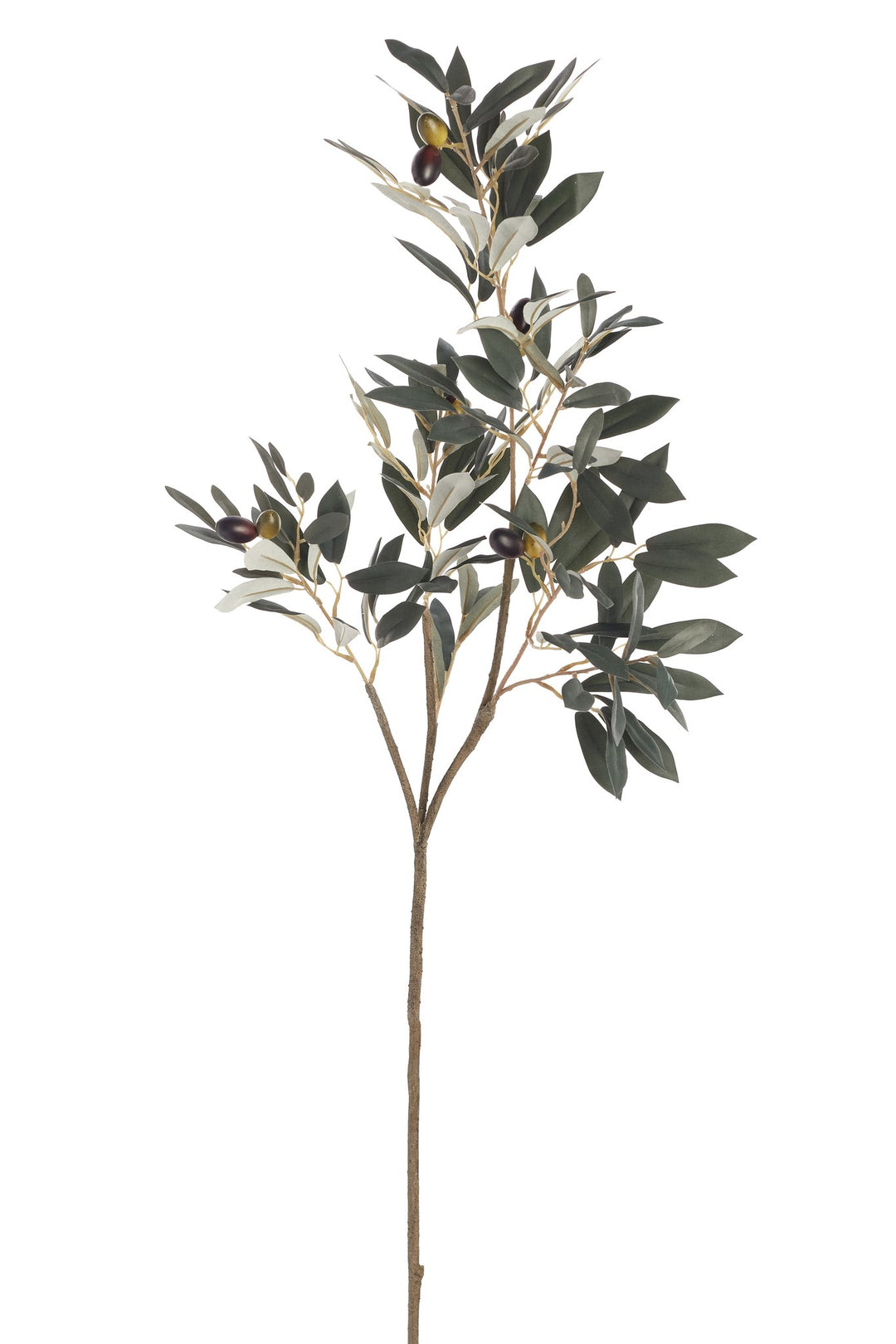 Olive Spray Branch