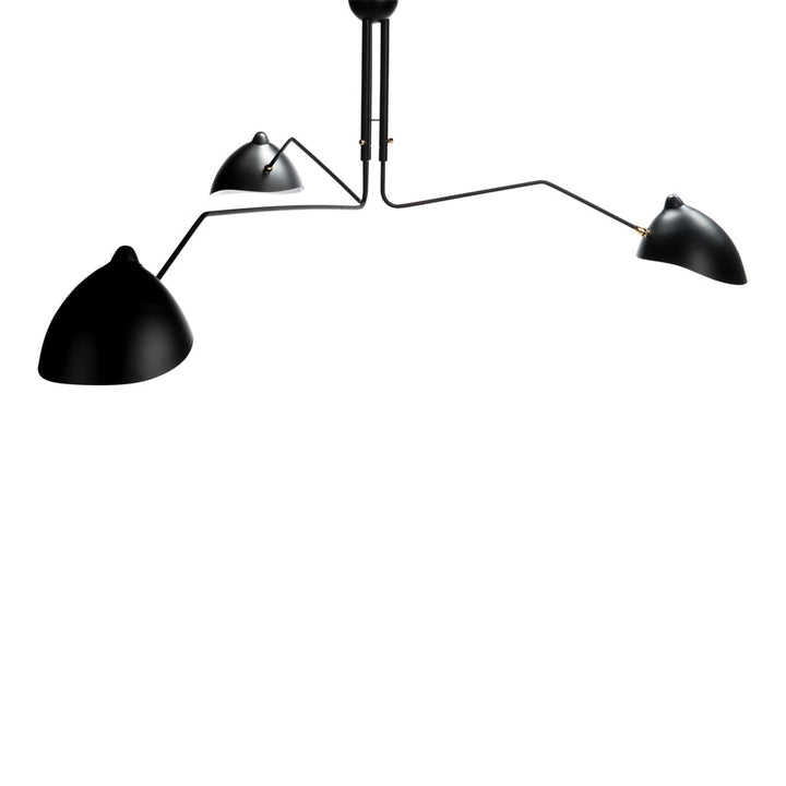 Fly Trap Ceiling Light |  | Derrick Details