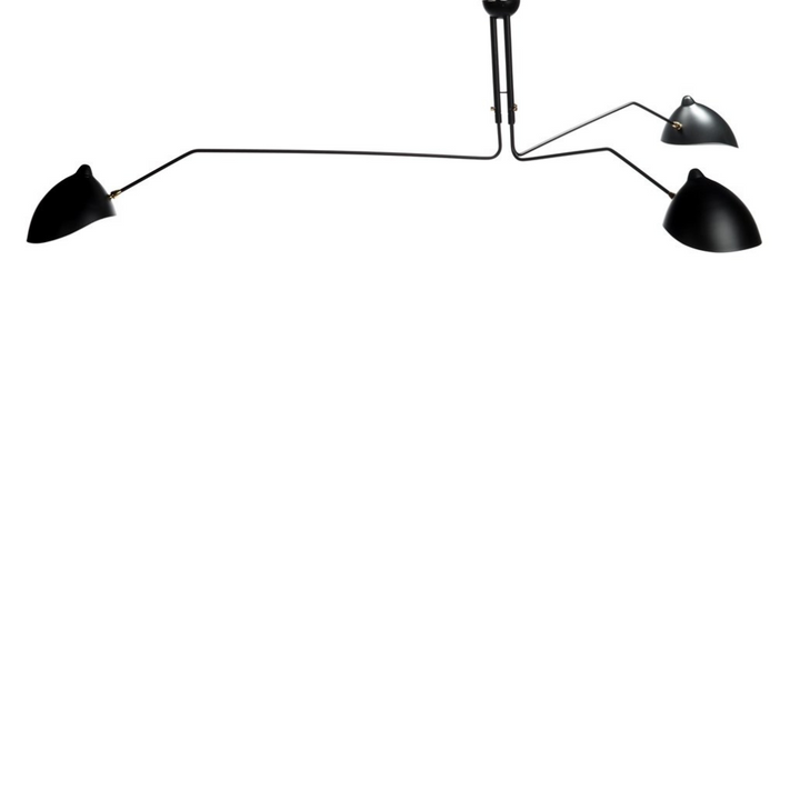 Fly Trap Ceiling Light |  | Derrick Details