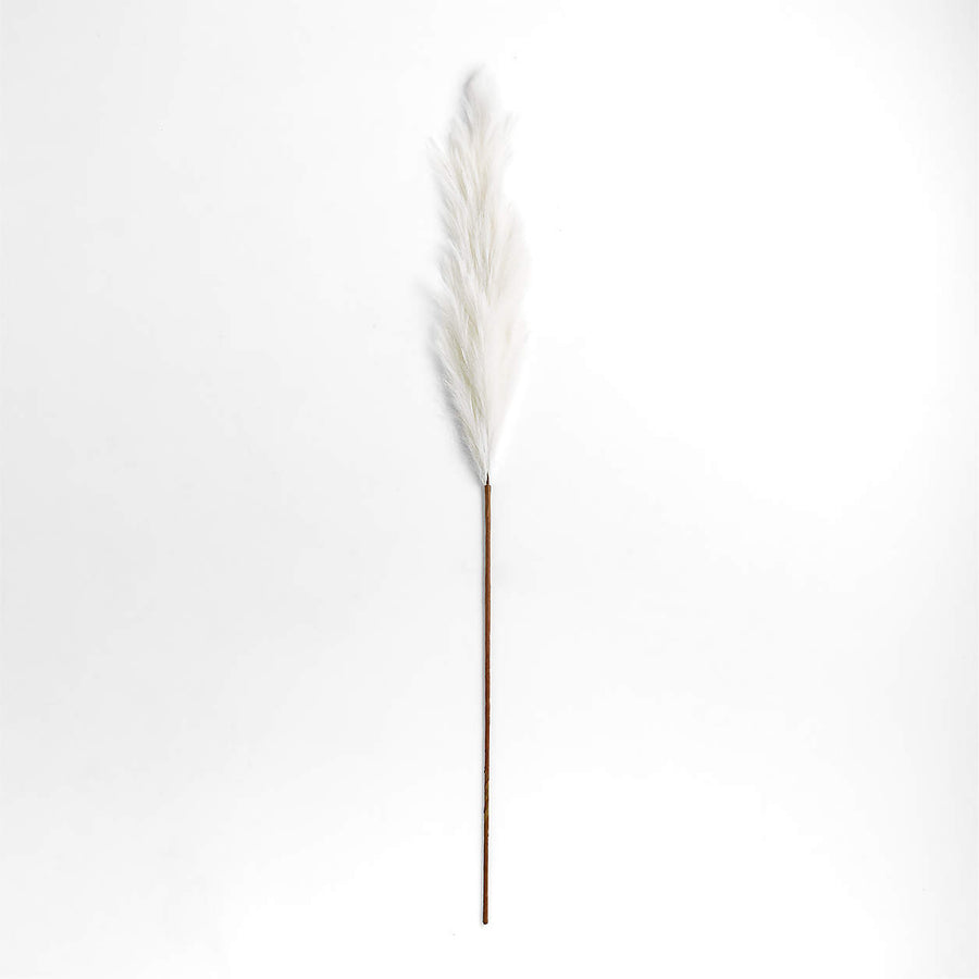 Boa Feather Pampas | Faux Plant | Derrick Details