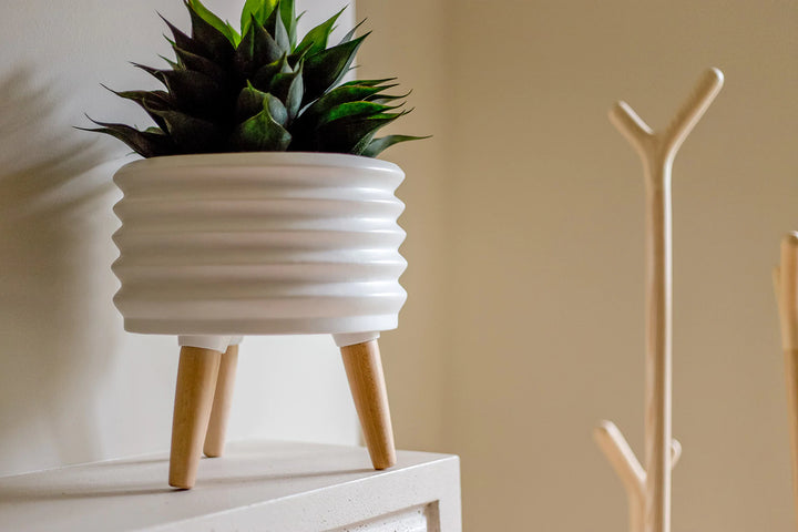 Cicra Coil Planter | Planter | Derrick Details