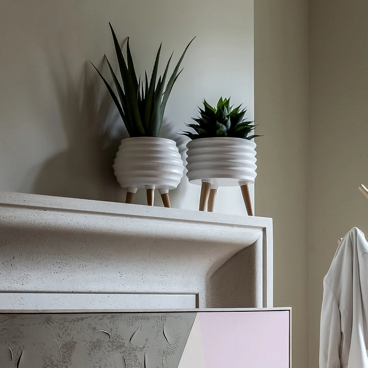 Cicra Coil Planter | Planter | Derrick Details