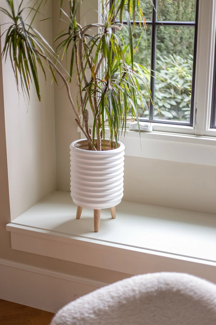 Cicra Coil Planter | Planter | Derrick Details