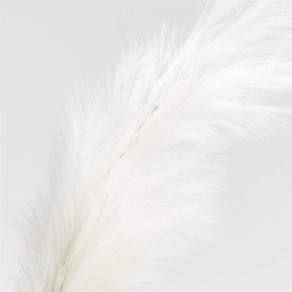 Boa Feather Pampas | Faux Plant | Derrick Details