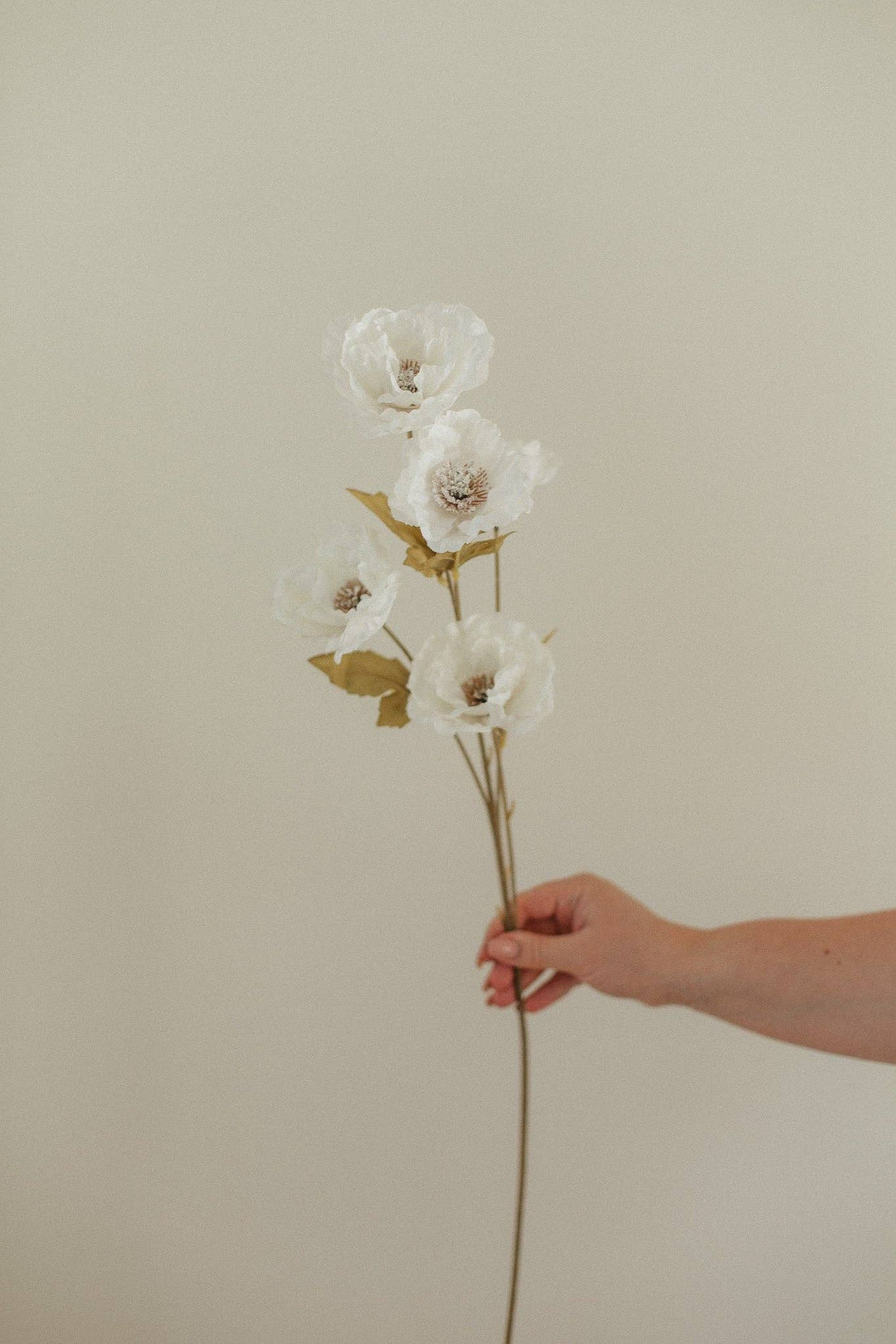 Large Poppy Stem