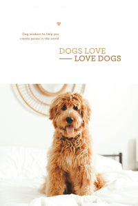 Dogs Love Dogs Décor Book