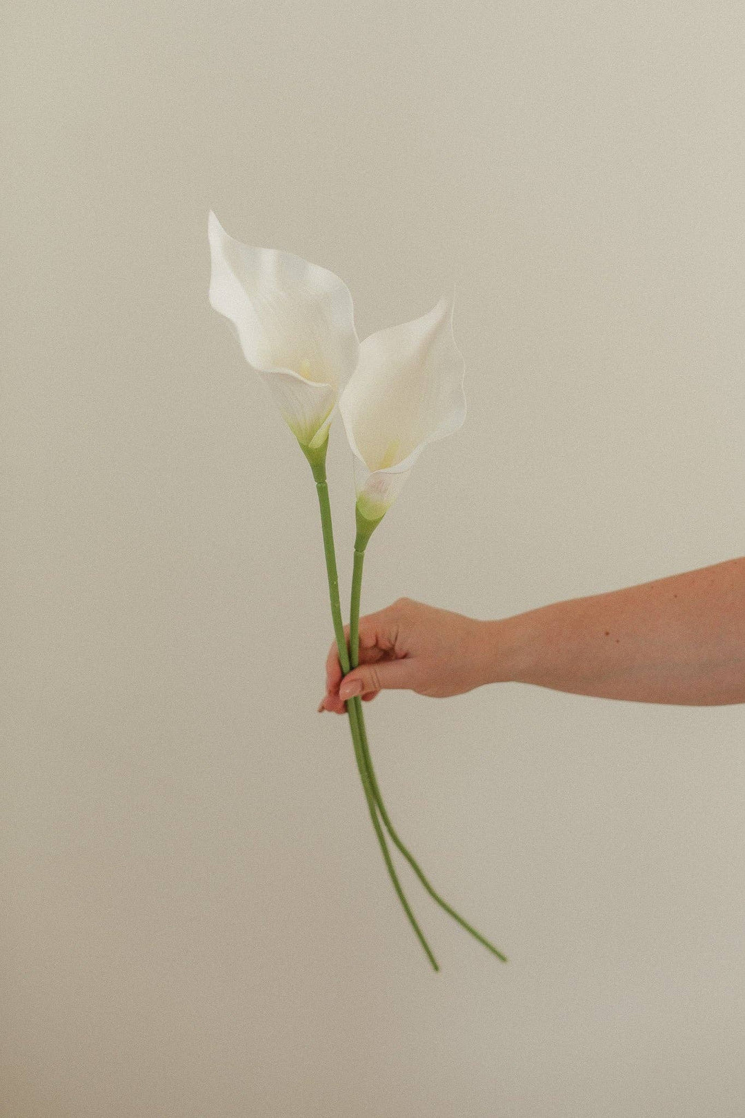 Calla Lilly Stem