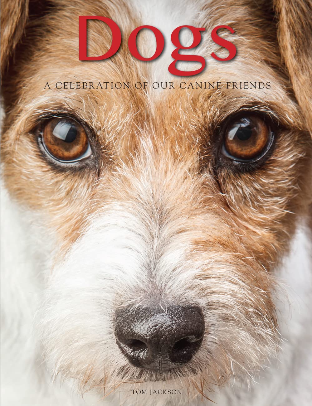 Dogs Coffee Table Book