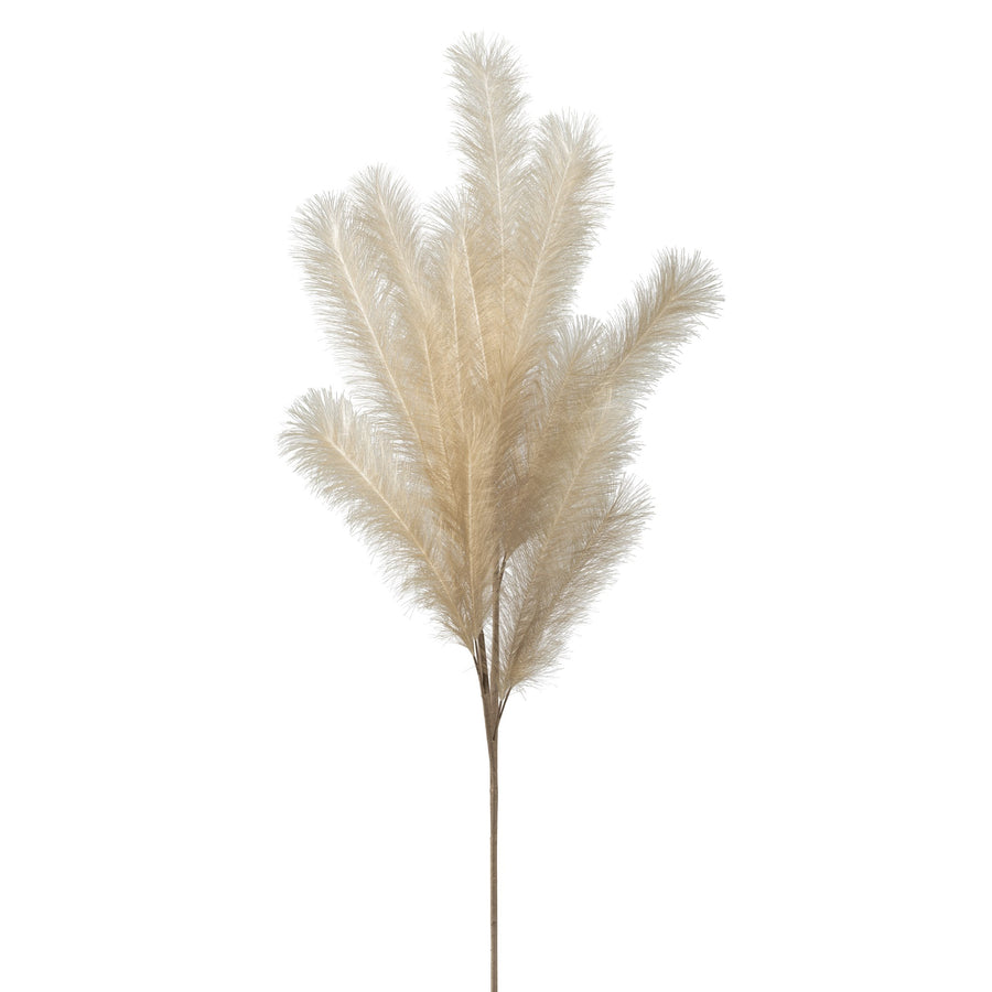 Desert Feather Pampas | Faux Plant | Derrick Details