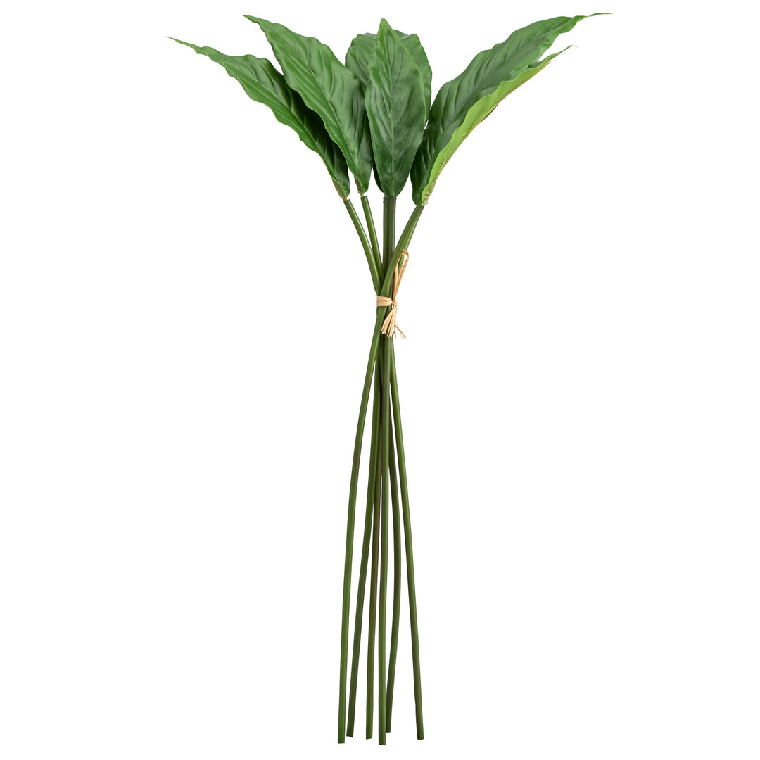 Peace Lily Leaf 24" | Faux Plant | Derrick Details