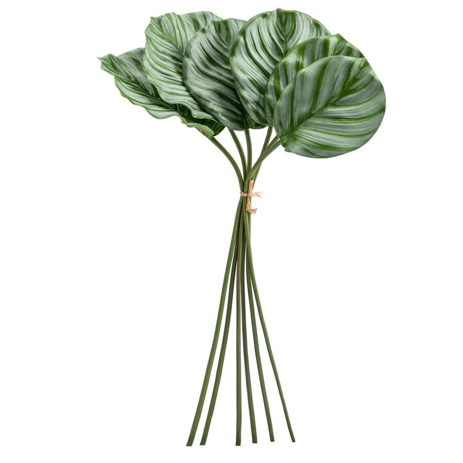 Calathea Leaf | Faux Plant | Derrick Details